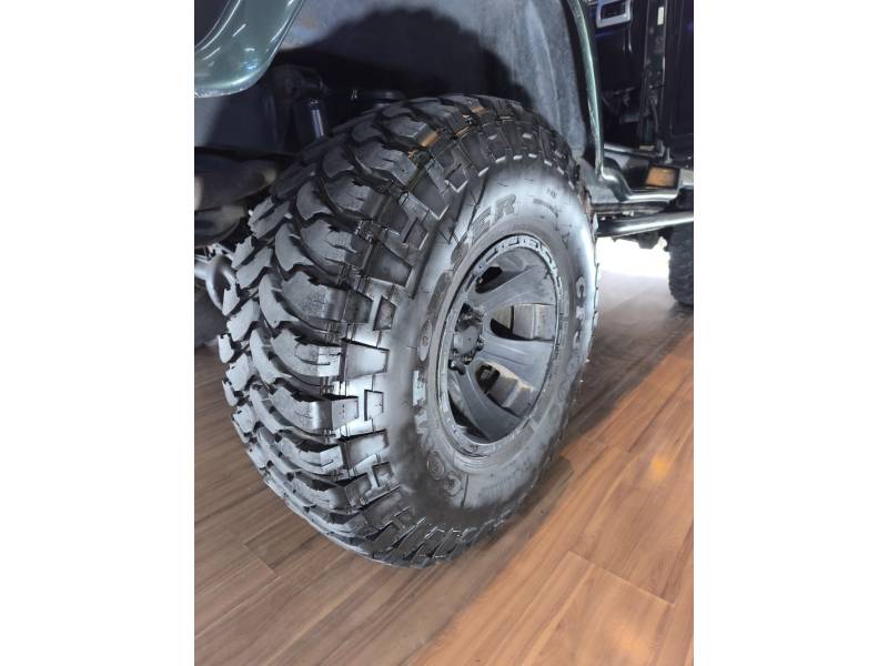 TROLLER - T4 - 2008/2008 - Verde - R$ 99.900,00